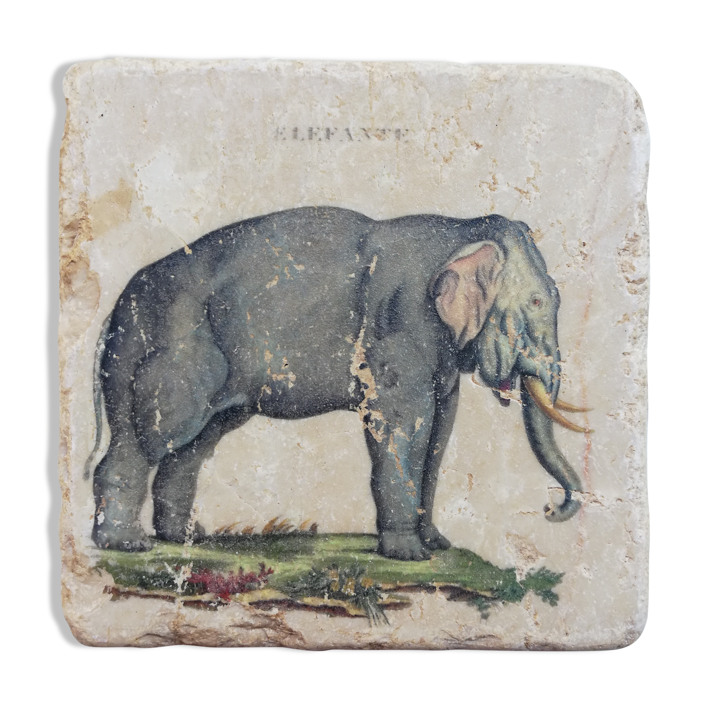 Marble coasters, elephant décor