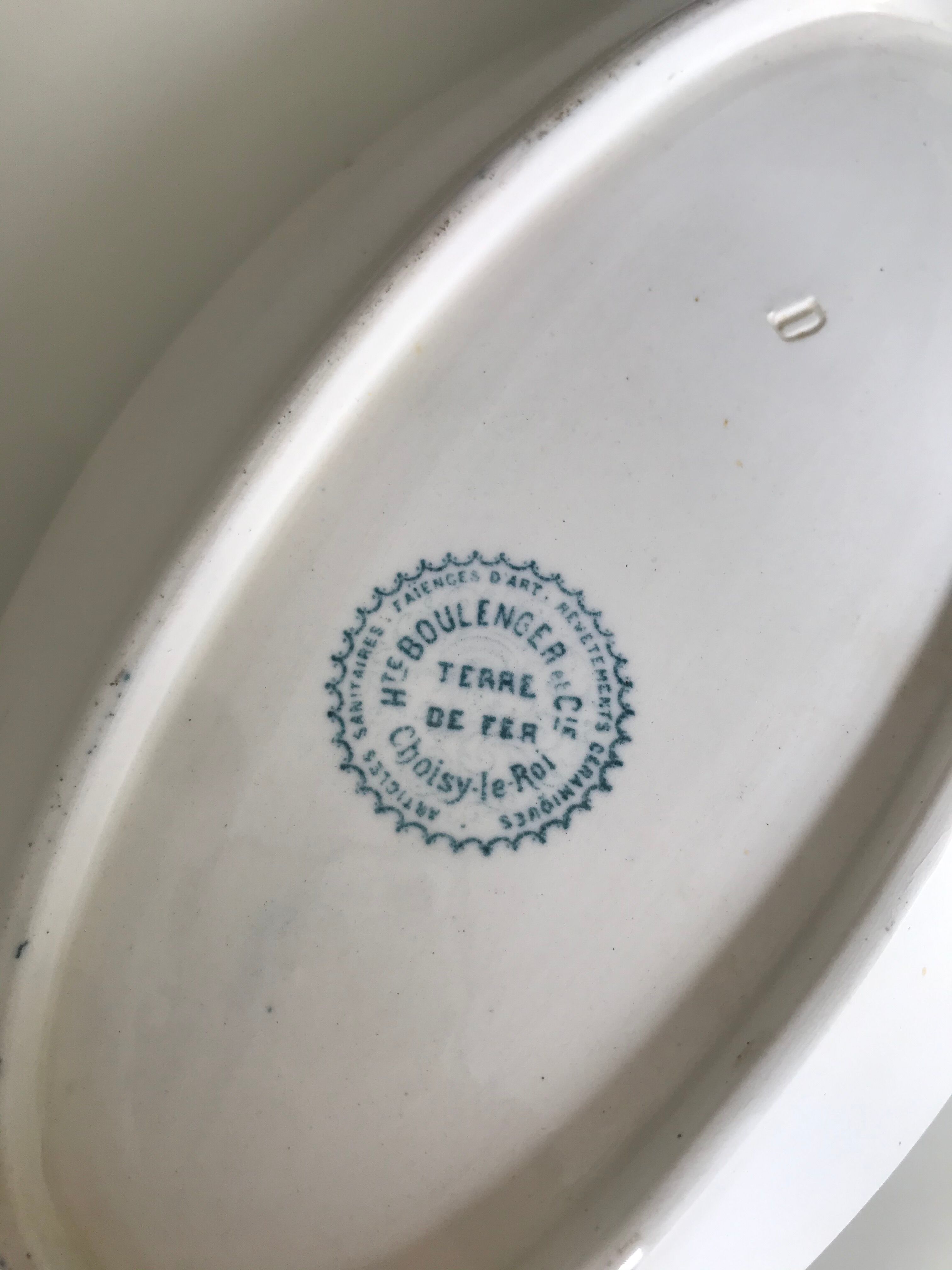 Iron Earth Ravine H Boulenger Choisy the King