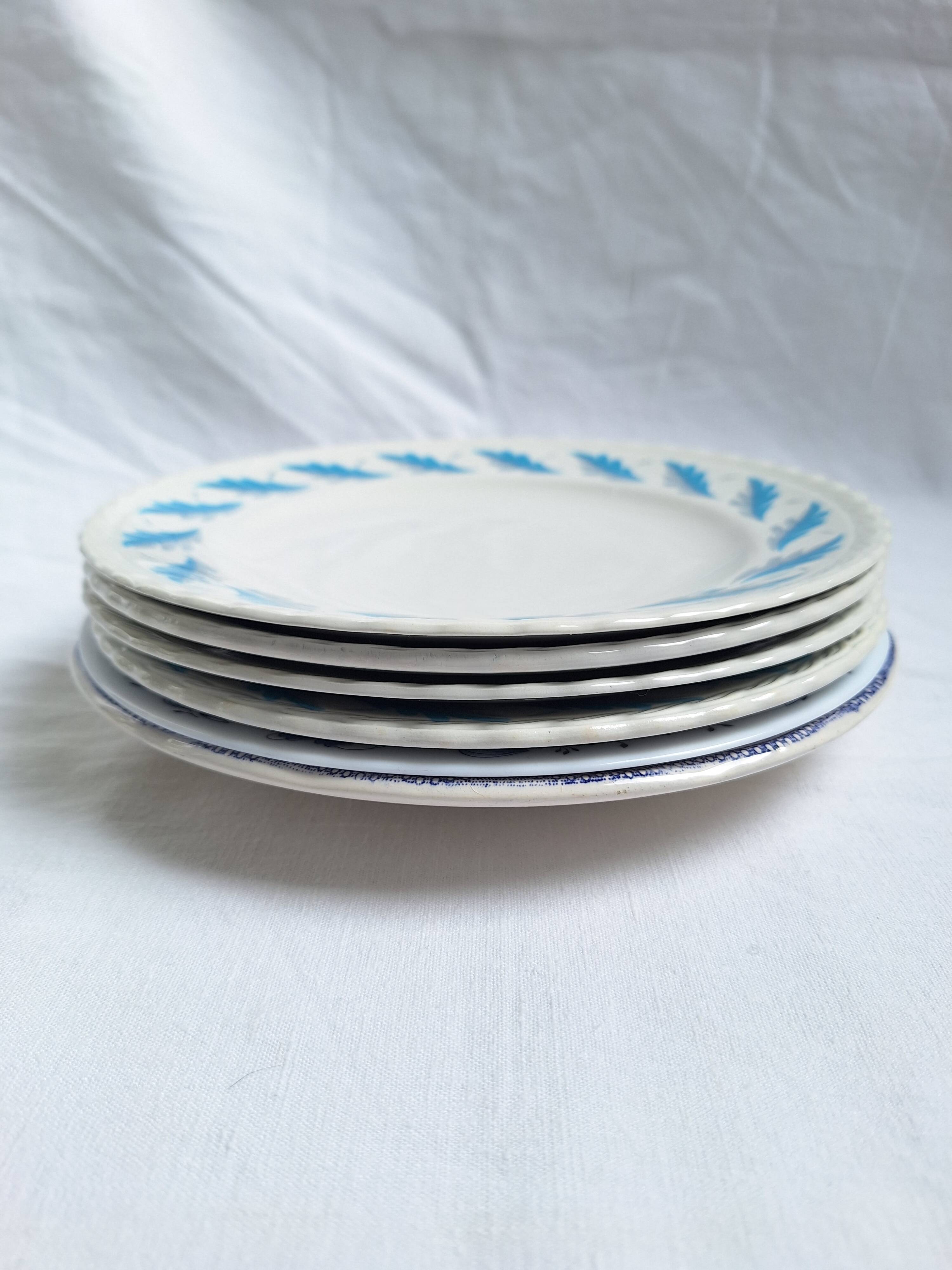 Assiettes plates bleu vintage