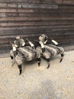Set of 2 ethnic buffalo horn armchairs