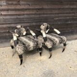 Ensemble de 2 fauteuils ethniques en cornes de buffles