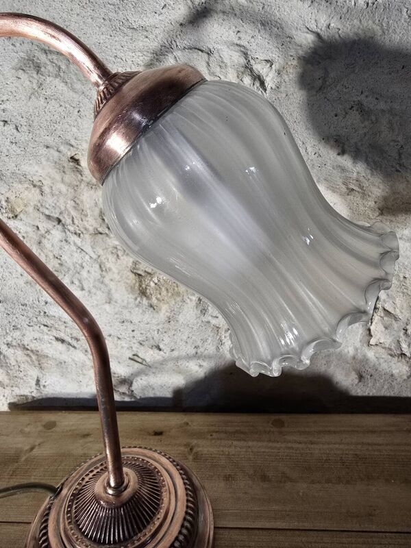 Lampe col de cygne et tulipe en verre dépoli