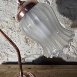 Swan neck lamp and frosted glass tulip