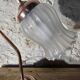 Swan neck lamp and frosted glass tulip