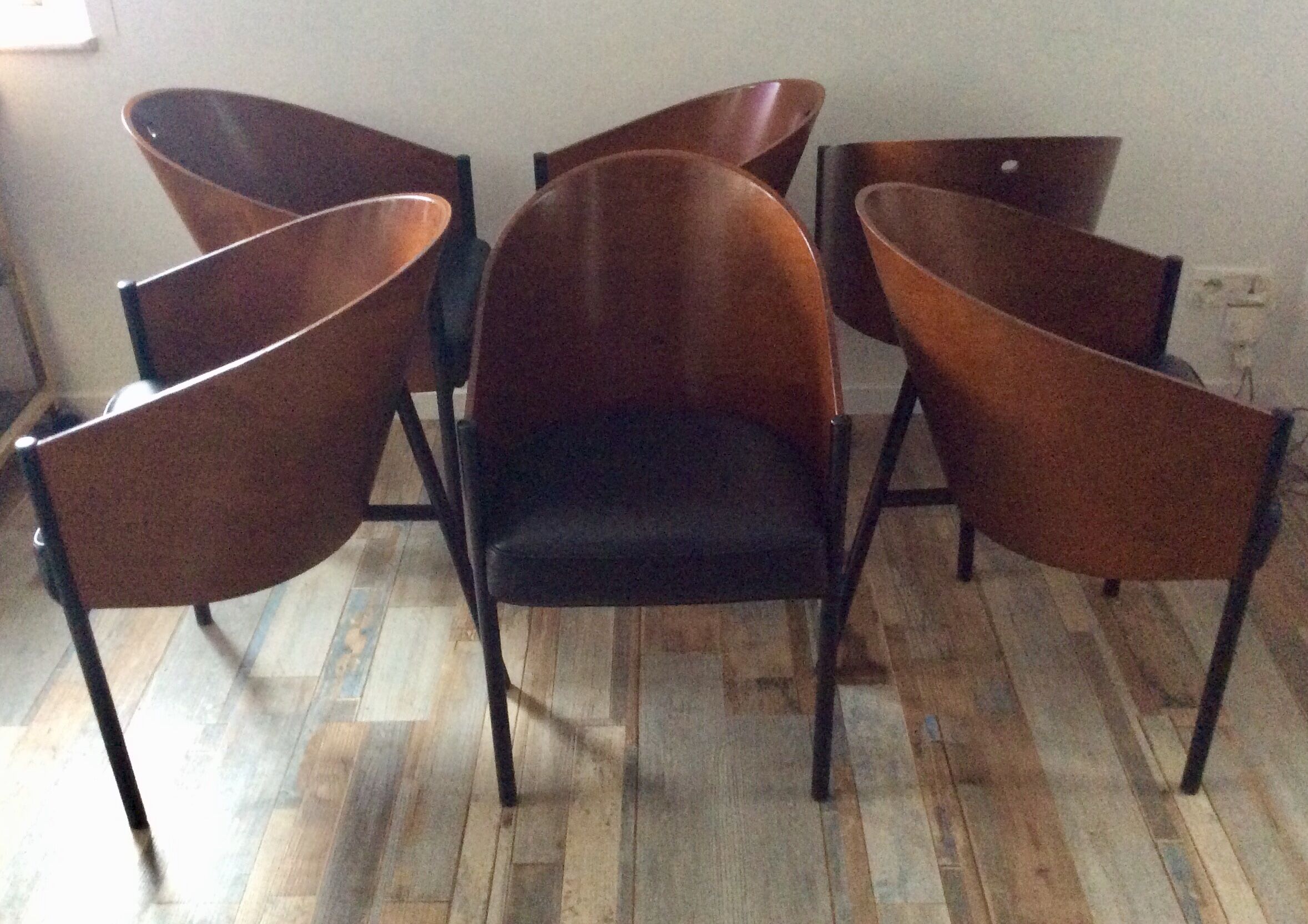 Set of 6 costes chairs by Philippe Starck, Aleph Driade edition