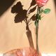 5 bols verre rose arcoroc rosaline