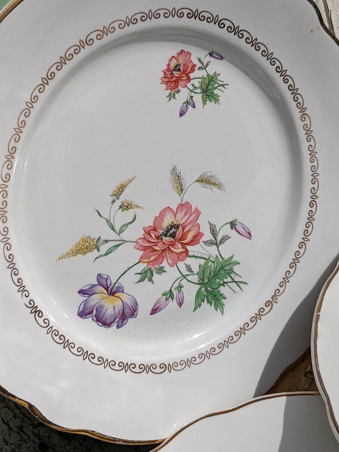 Set of 12 flat plates Digoin Sarreguemines