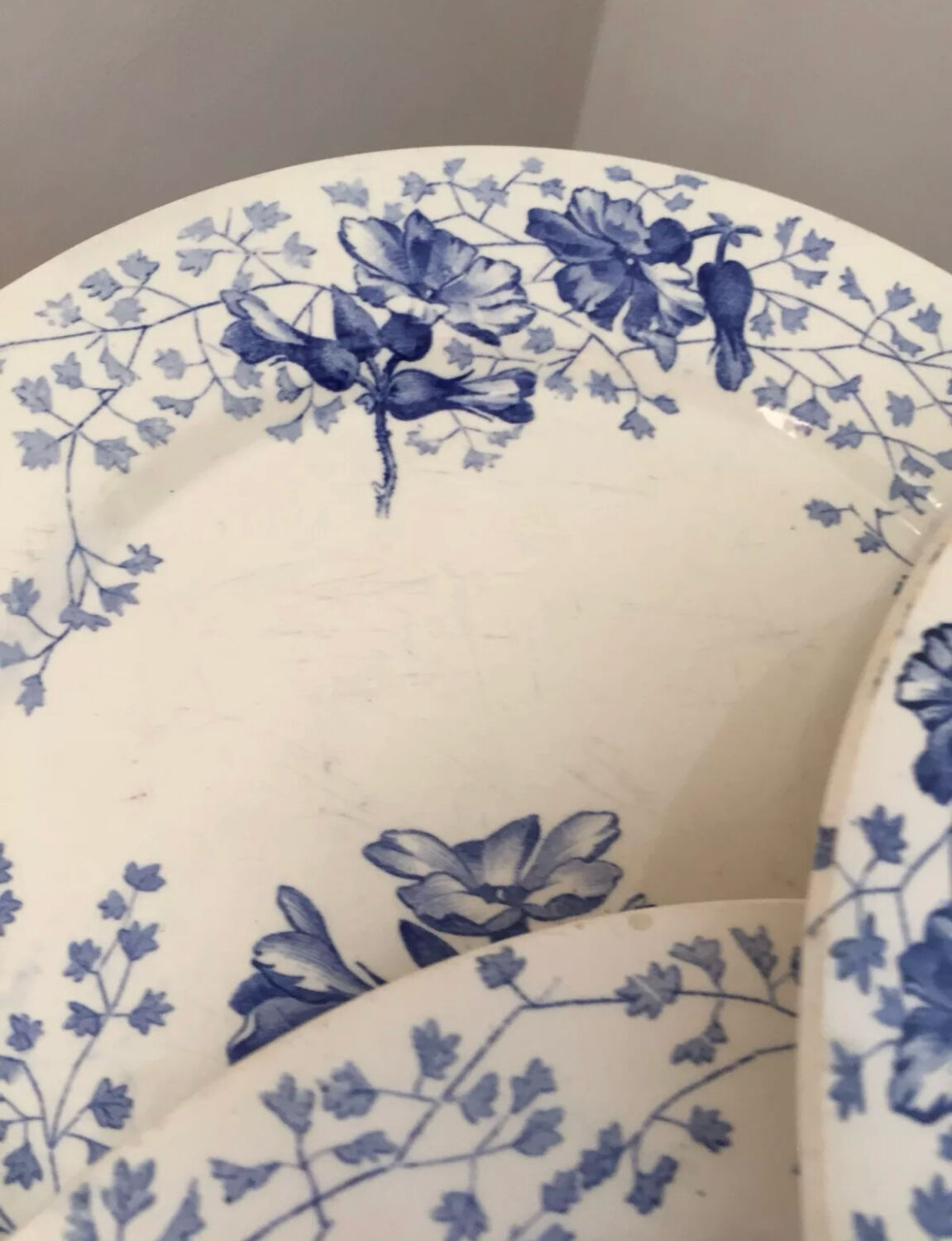 Ironstone plate Creil and Montereau primrose decoration 19th century