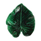 Cut dark green leaf