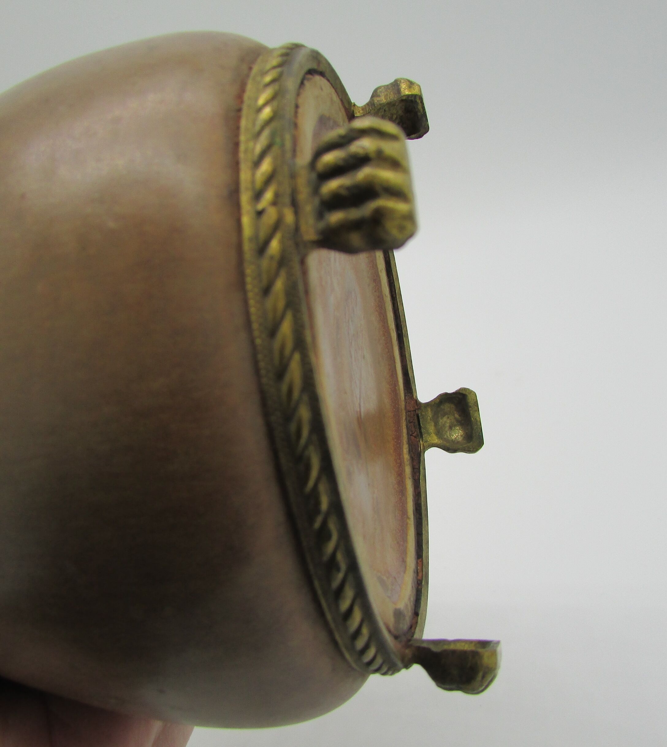 Denbac pitcher mounts lion paws