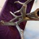 Brutalist "Tree" Candlestick in Cast Aluminum, 1970s