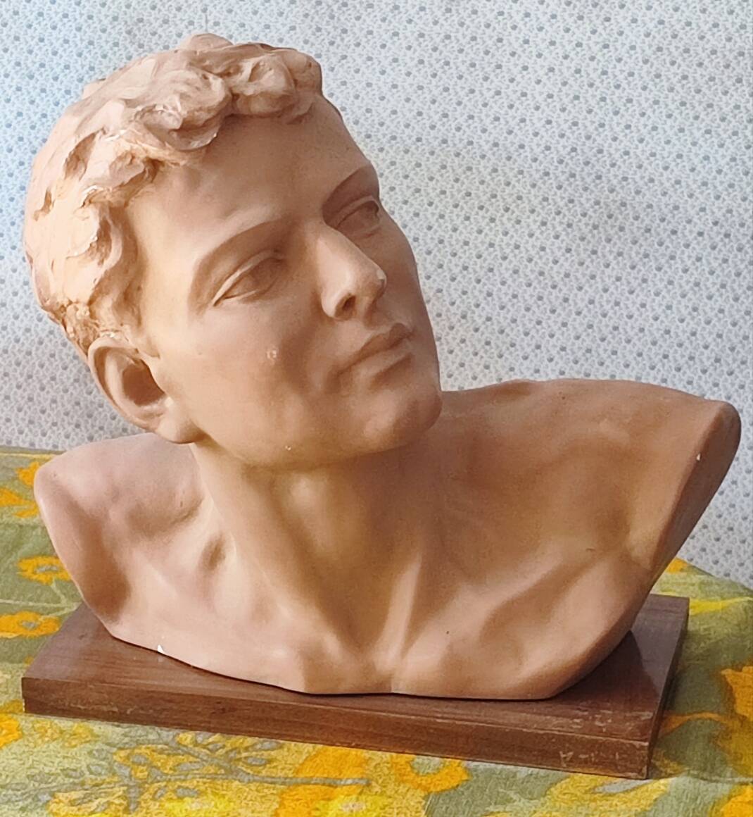 Head of a youth in terracotta