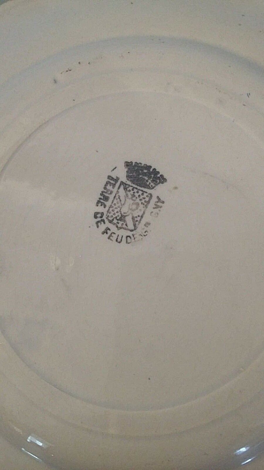 Talking plate themed Tierra del Fuego of Grigny late nineteenth century