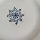 Set of 4 plates St Amand Terre de Fer