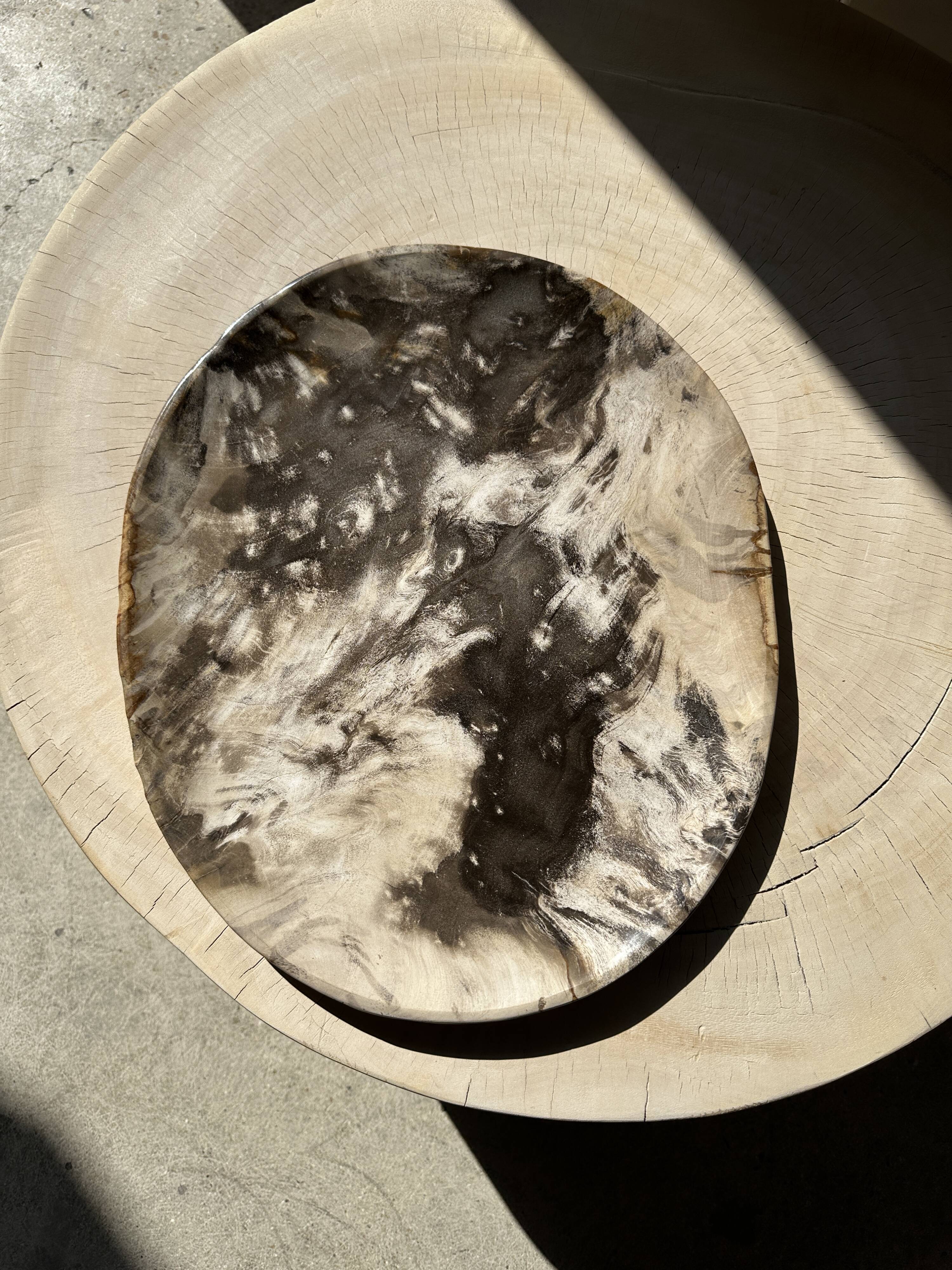 Very large empty pocket or petrified wooden flat