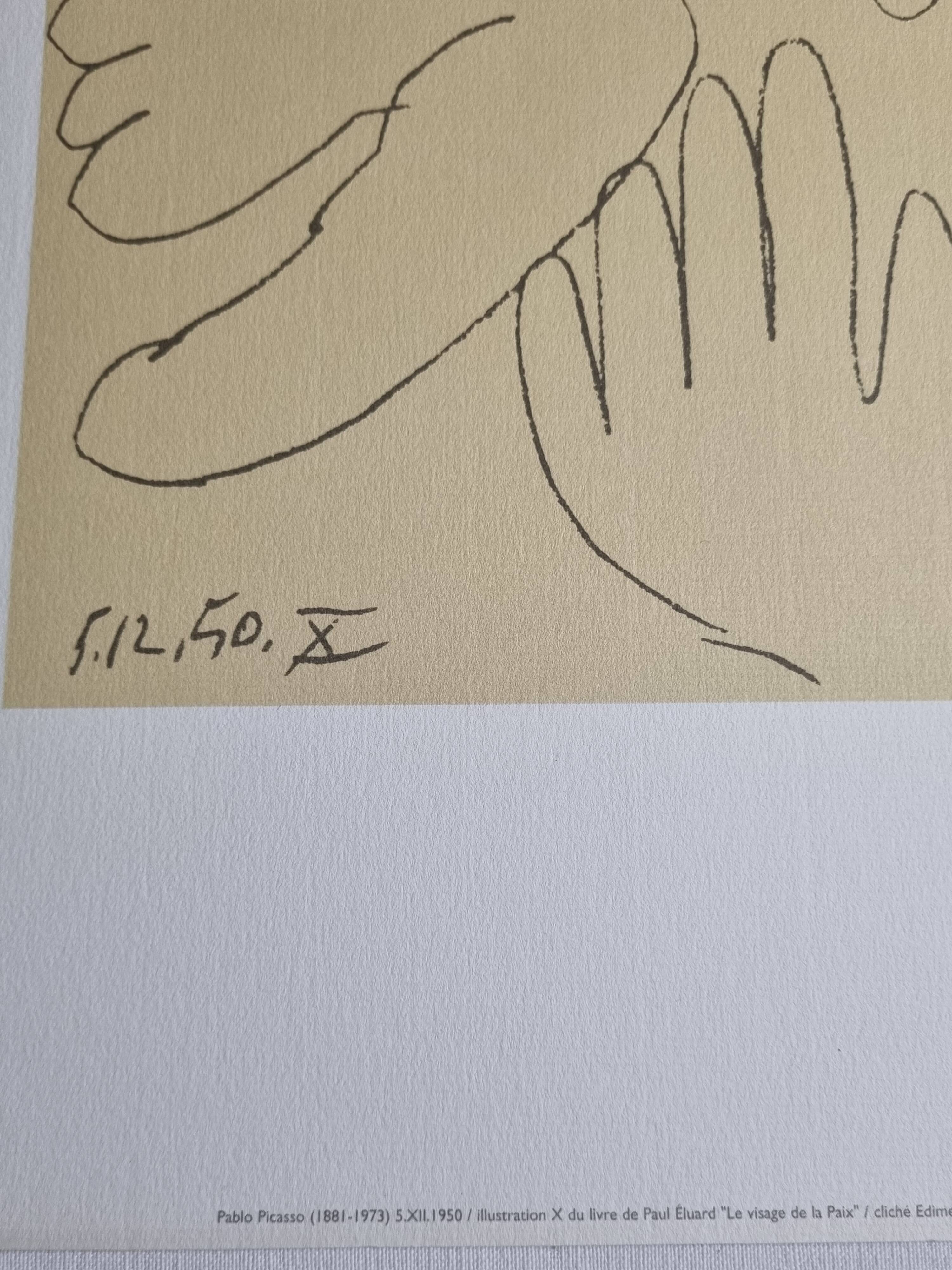 Vintage offset print after Pablo Picasso, "The Face of Peace", 40 x50 cm