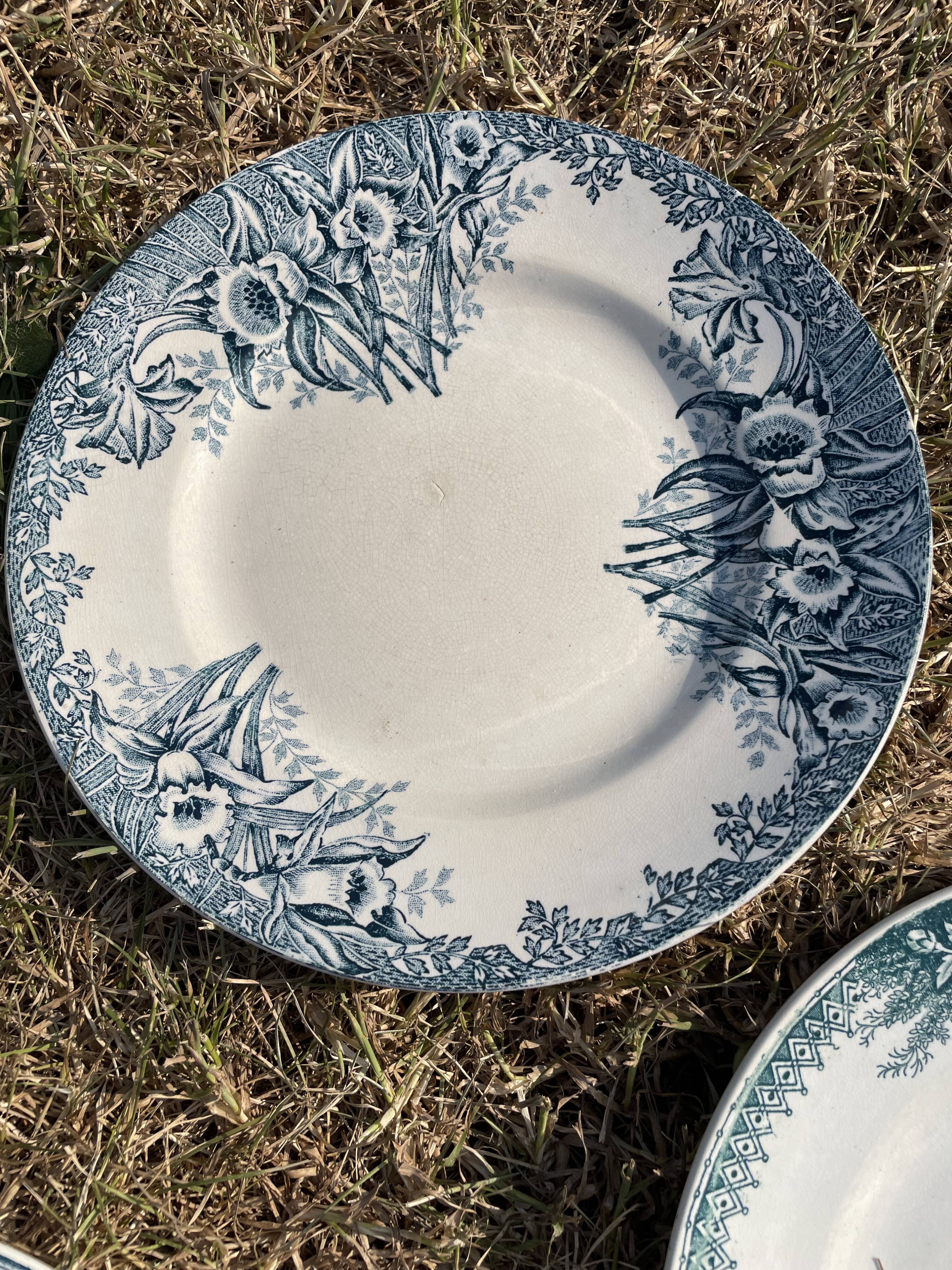 Set of 8 mismatched iron earth flat plates