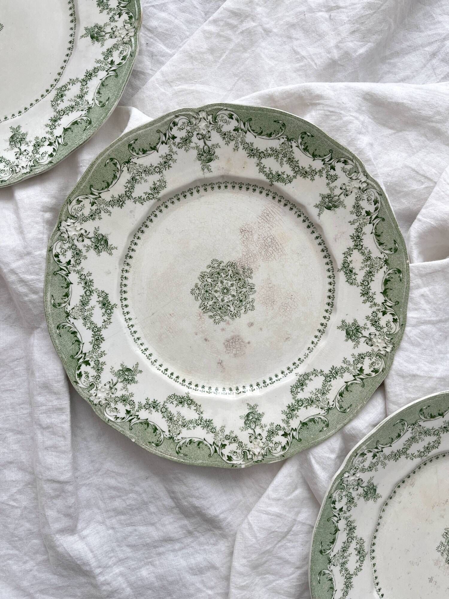6 Ridgway Staffordshire "Como" English Ironstone Dinner Plates