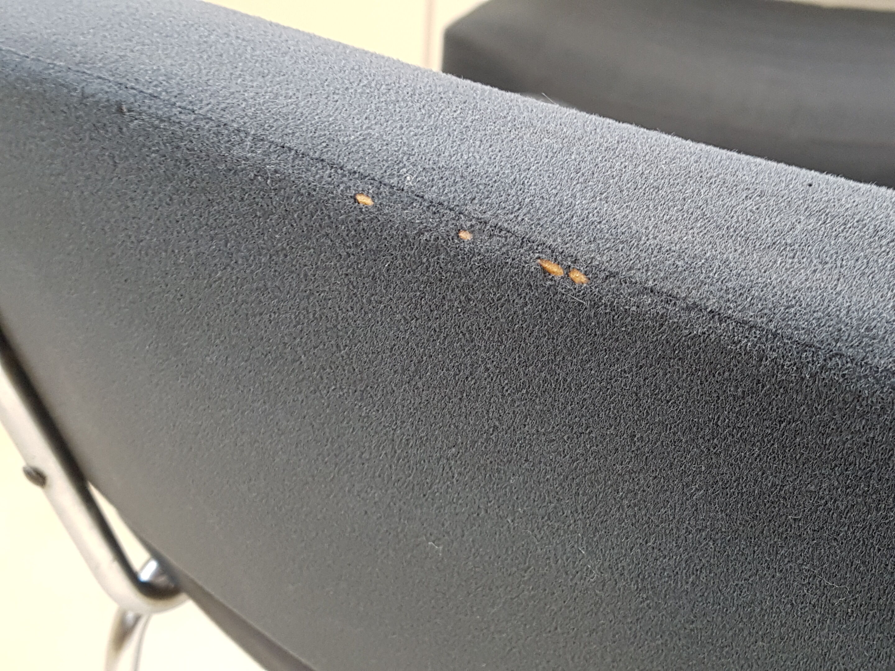 Set of 6 chairs "conseil" of Pierre Guariche for Meurop 1960