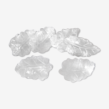 Six concave glass pastas for light or other / oak leaves