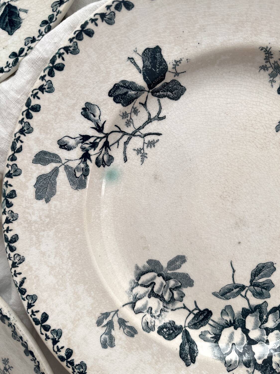 6 assiettes plates en terre de fer « Acacia » Moulin des Loups et Hamage