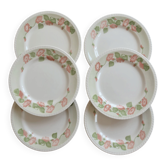 6 vintage dessert plates English earthenware Oxford floral pattern