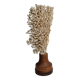 Antique natural coral on turned wooden base, 38 cm