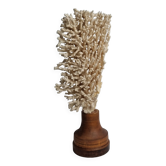 Antique natural coral on turned wooden base, 38 cm