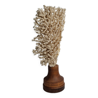 Antique natural coral on turned wooden base, 38 cm
