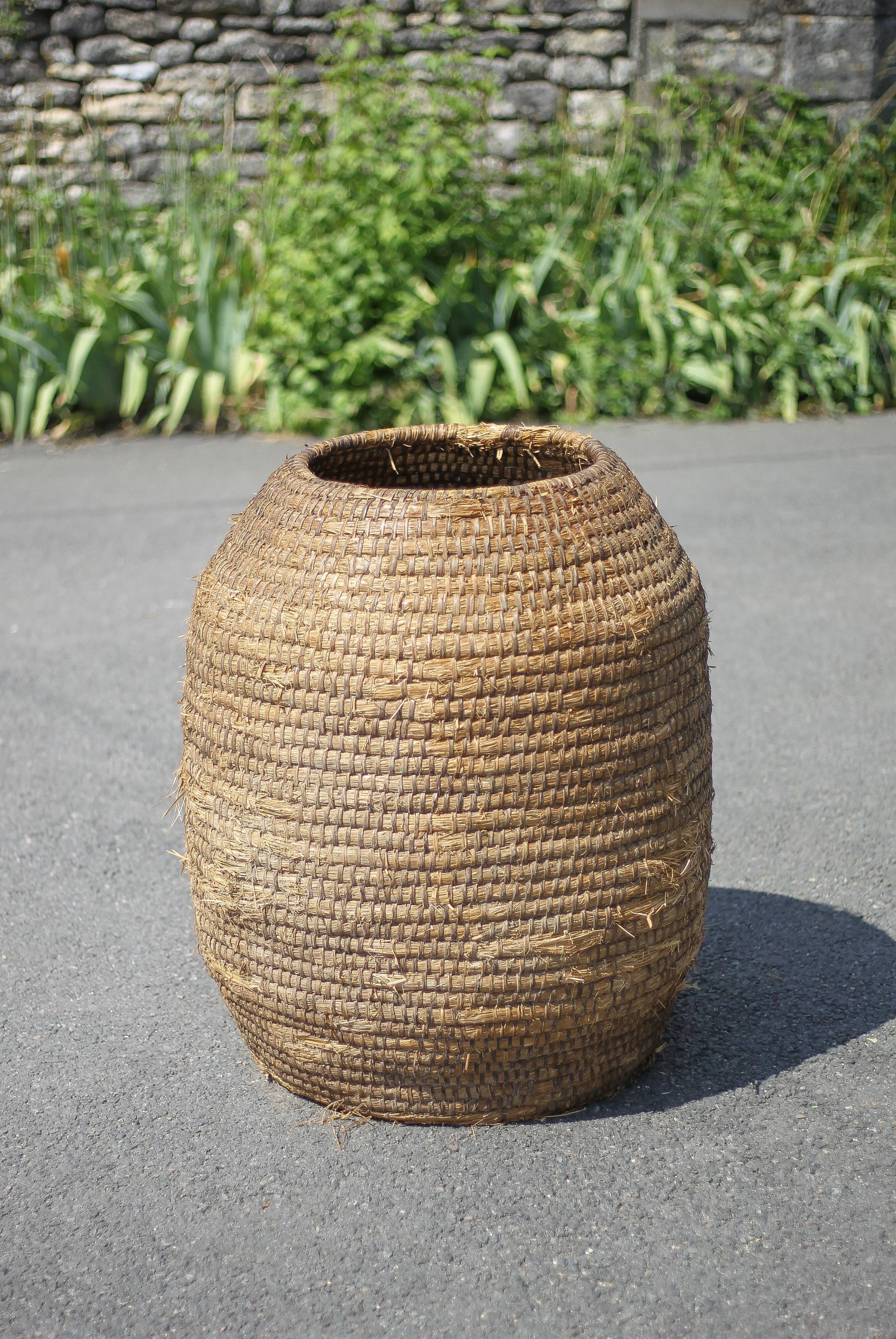 Very large old basket, burgundy straw and bramble, woven basket