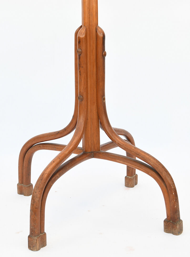 Parrot coat rack in curved wood