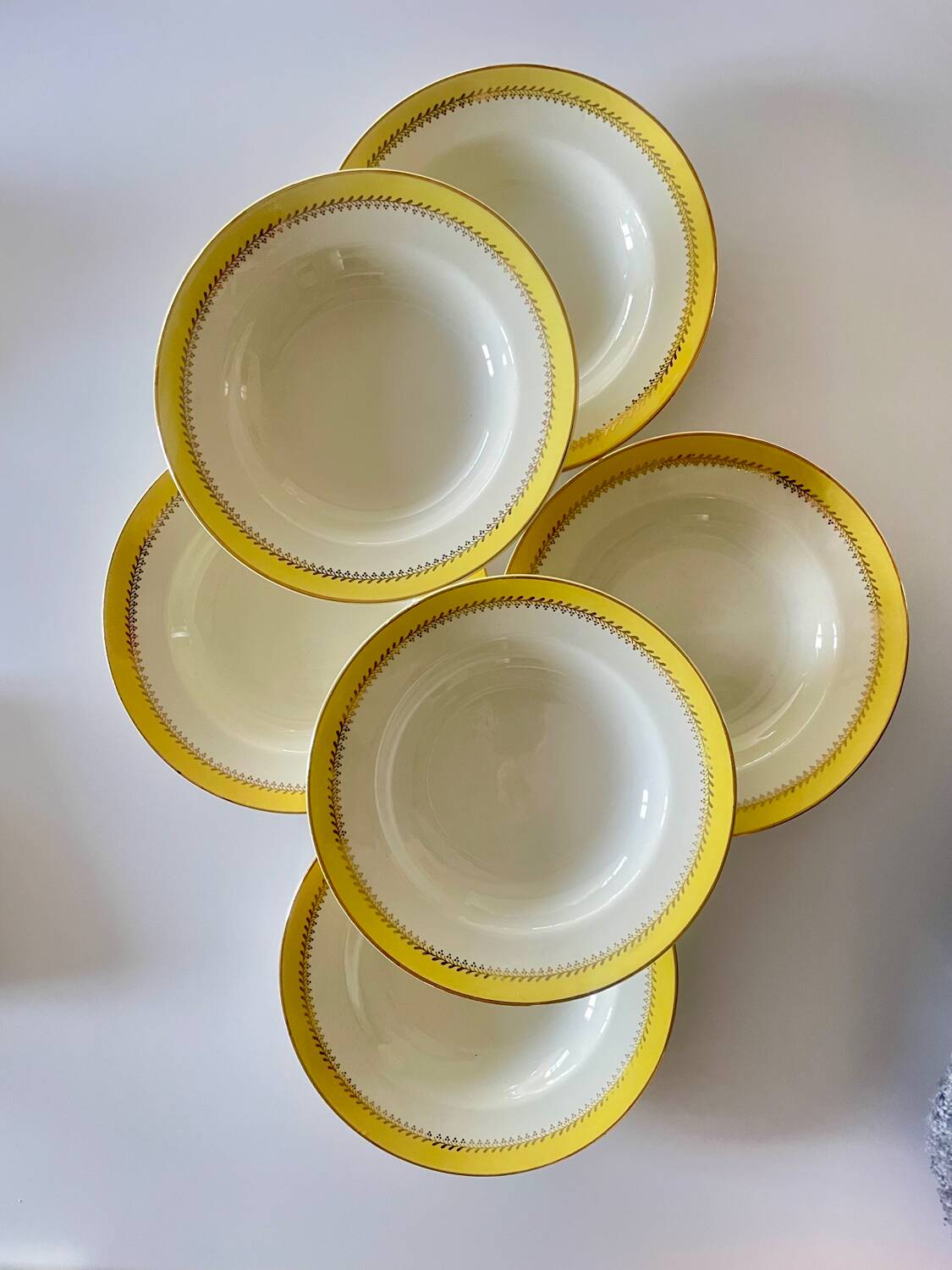 6 Biarritz earthenware soup plates