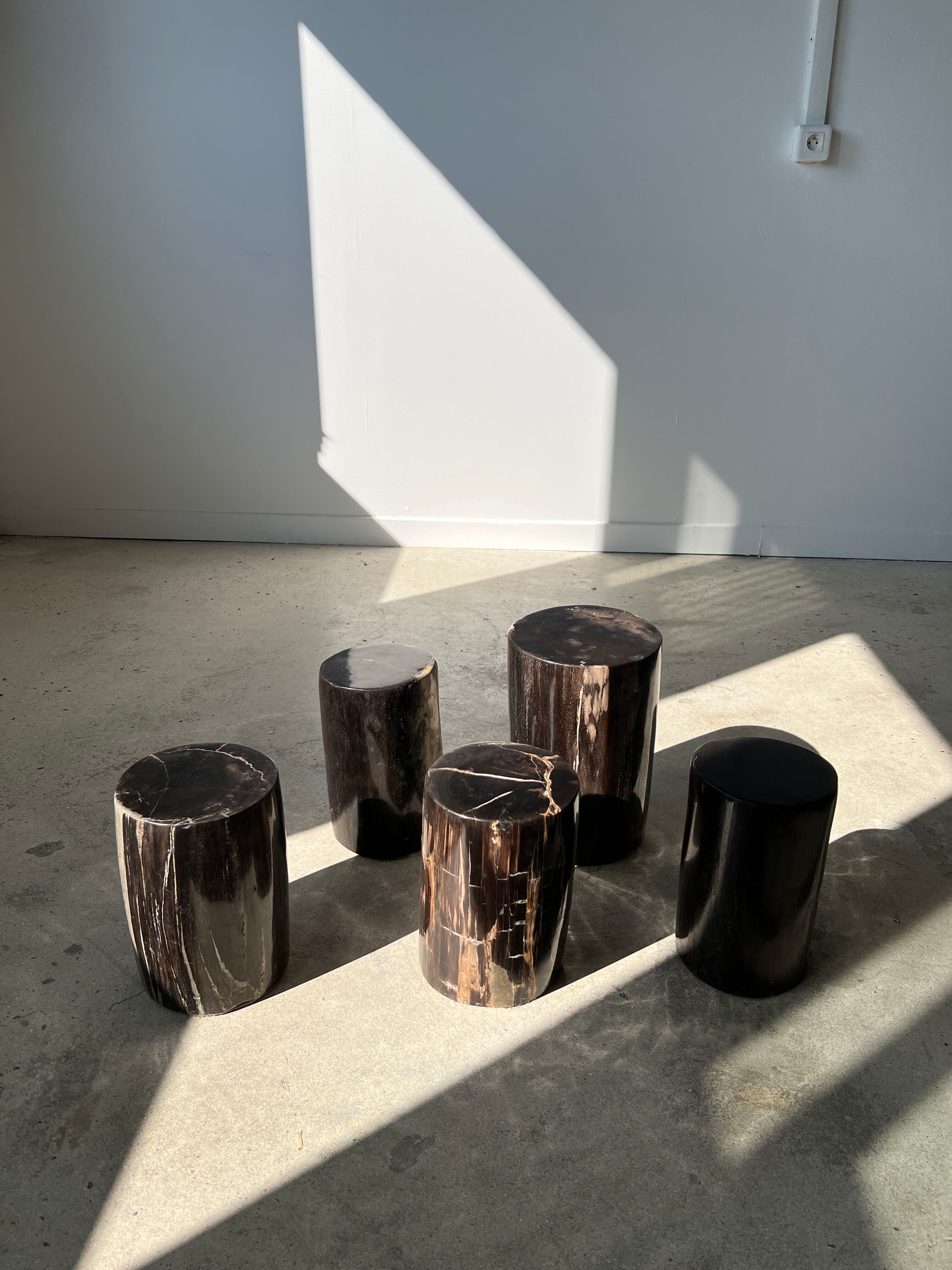 Side table in black petrified wood h:28,5cm d:17cm