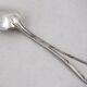 Share Ercuis Trianon 10 dessert spoons, silver-plated, 17.5 cm, e