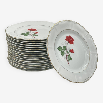 Lot 18 vintage porcelain plate with flowers Digoin & Sarreguemines - SEVIGNE model - ROSE decoration