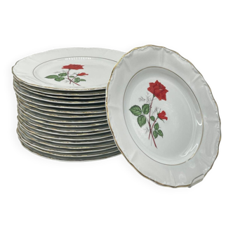 Lot 18 vintage porcelain plate with flowers Digoin & Sarreguemines - SEVIGNE model - ROSE decoration