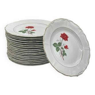 Lot 18 assiette porcelaine Vintage fleuris Digoin & Sarreguemines - Modèle SEVIGNE - Décor à la ROSE