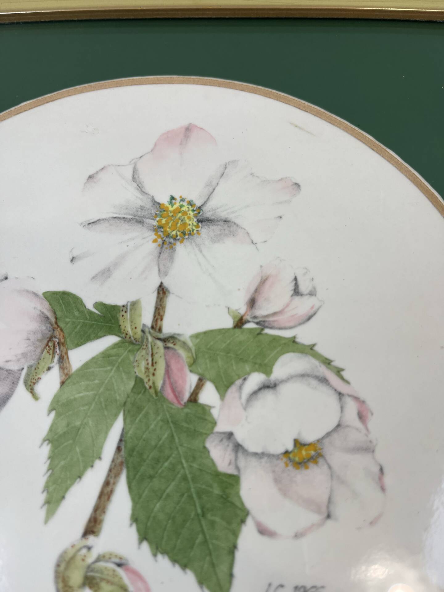 Hand-enhanced botanical plate
