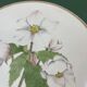 Hand-enhanced botanical plate
