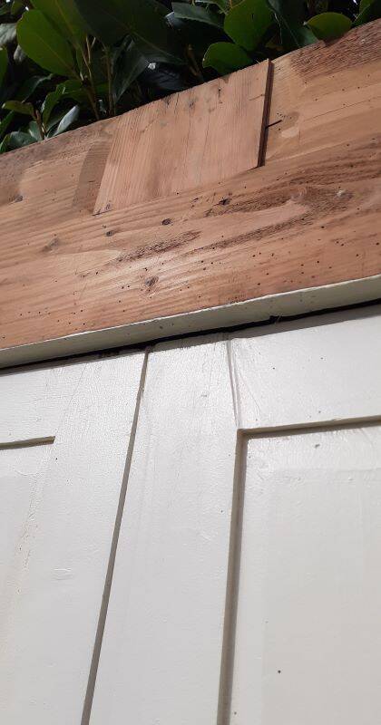 Pair of 19th-century cupboard doors and their frame (1st), woodwork