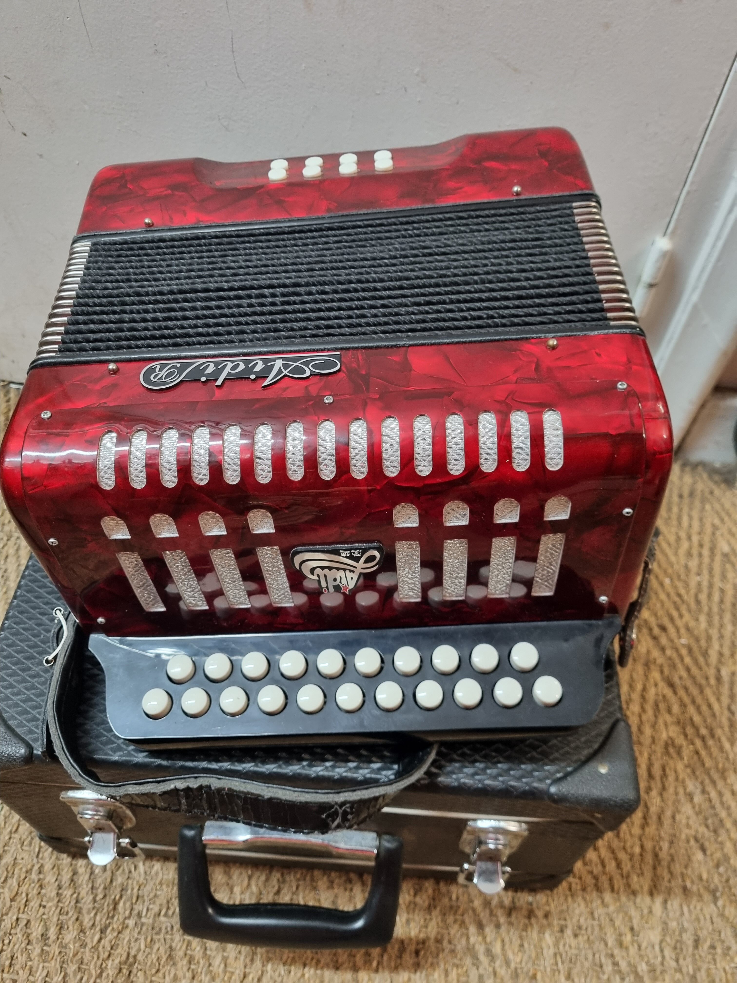 Red Aidi R accordion in his suitcase