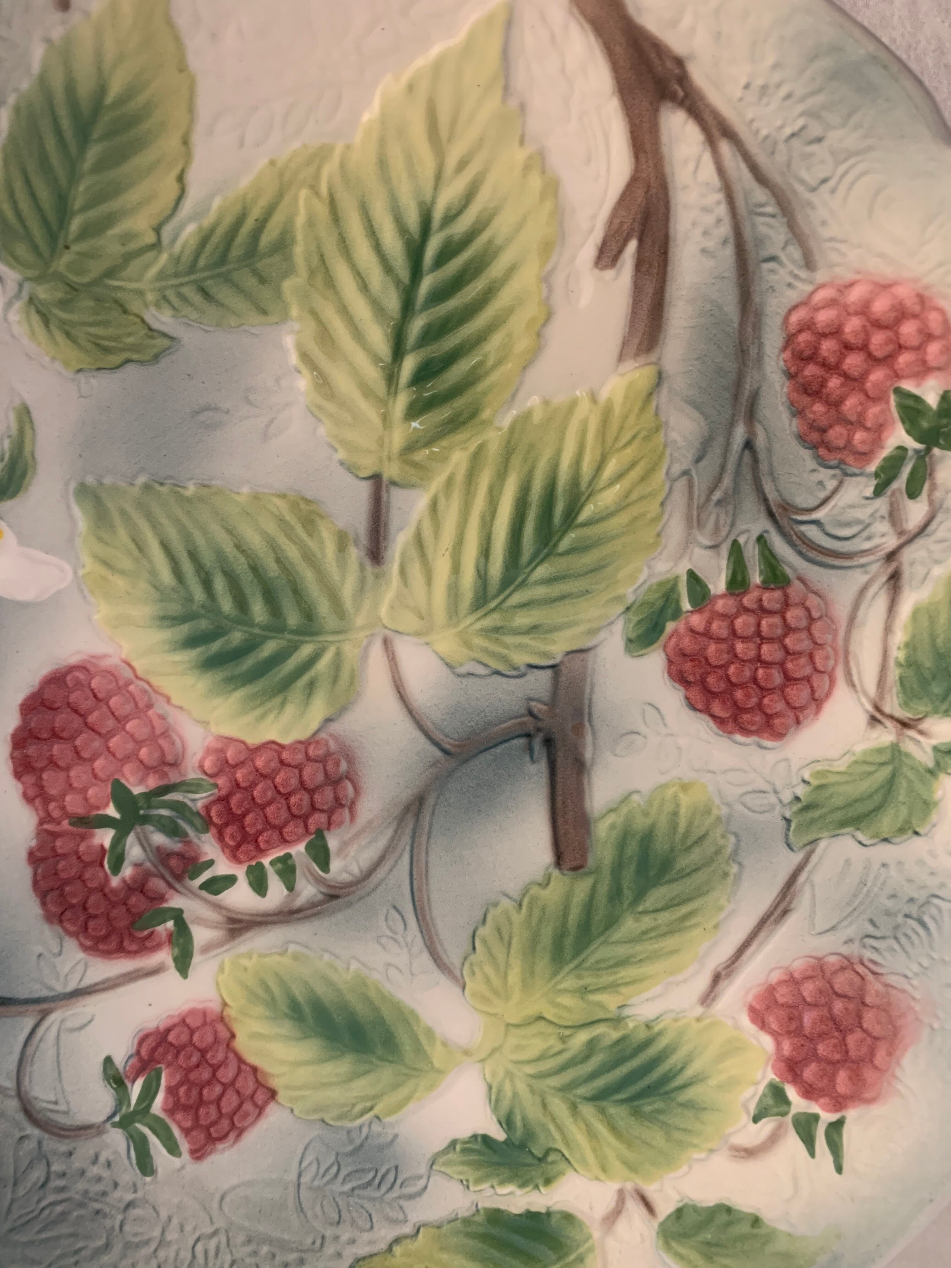 Fruit cup in Saint Clement dabbling