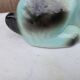 Art Deco ceramic animal statue - dogs