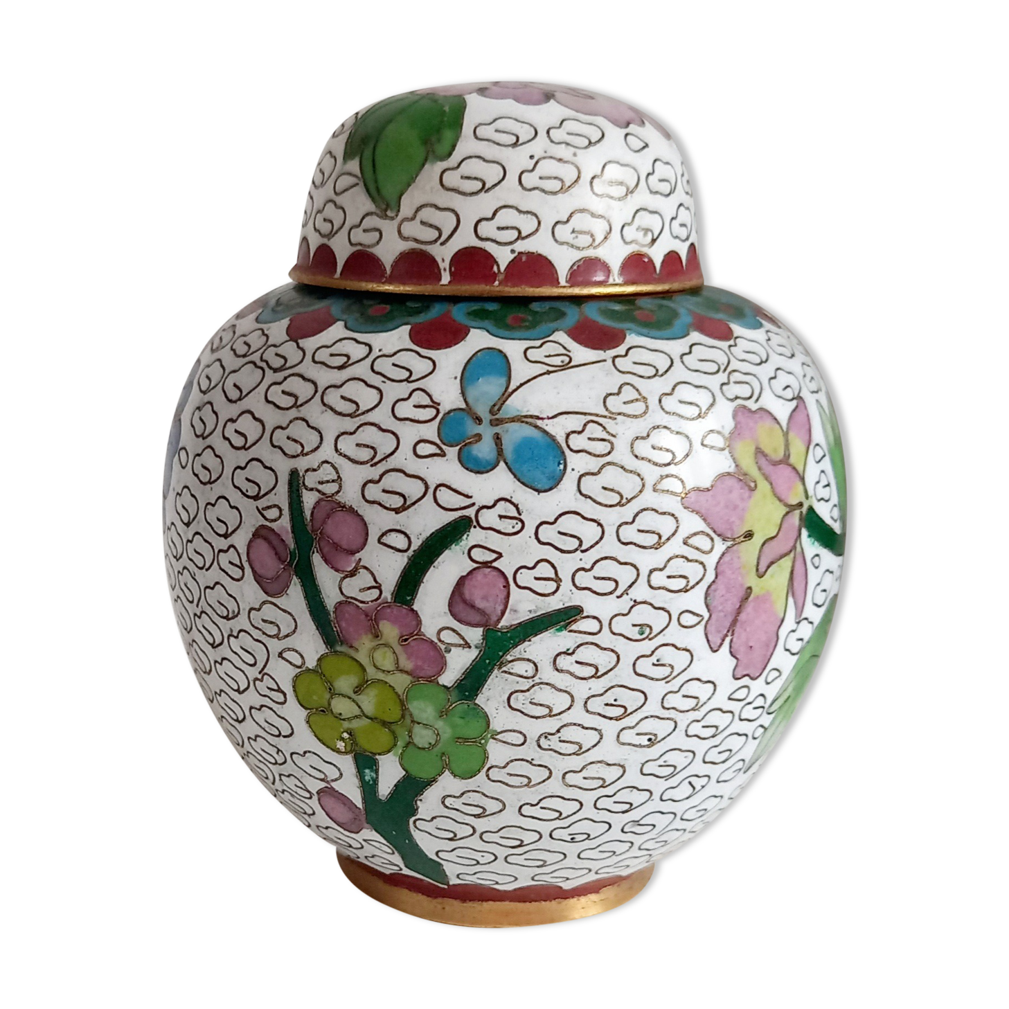 Partitioned ginger pot