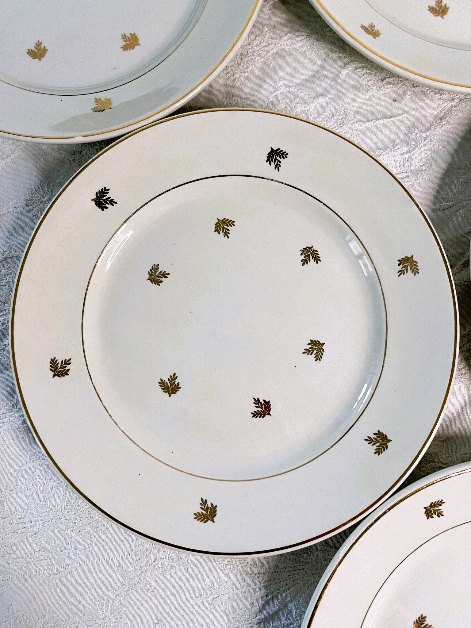 11 plates in antique earthenware decorated with golden leaves and golden border
