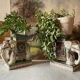 Ceramic elephants plant holder