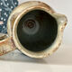 Vintage stoneware jug