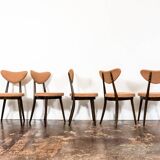 Model No. 124 Dining Chairs by Helena & Jerzy Kurmanowicz, 1960s, Poland, Set of 5