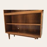Mid-century library