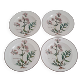 Lot de 4 assiettes creuses Villeroy et Boch- collection Botanica